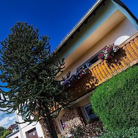 Holiday home Charmantes In Mensfelden Hunfelden